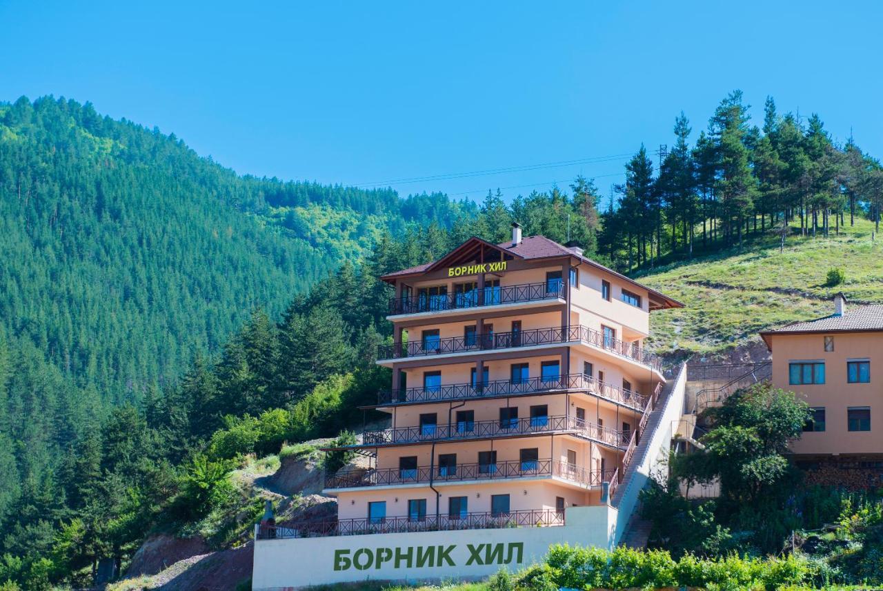 Борник Хил / Bornik Hill Девин Екстериор снимка